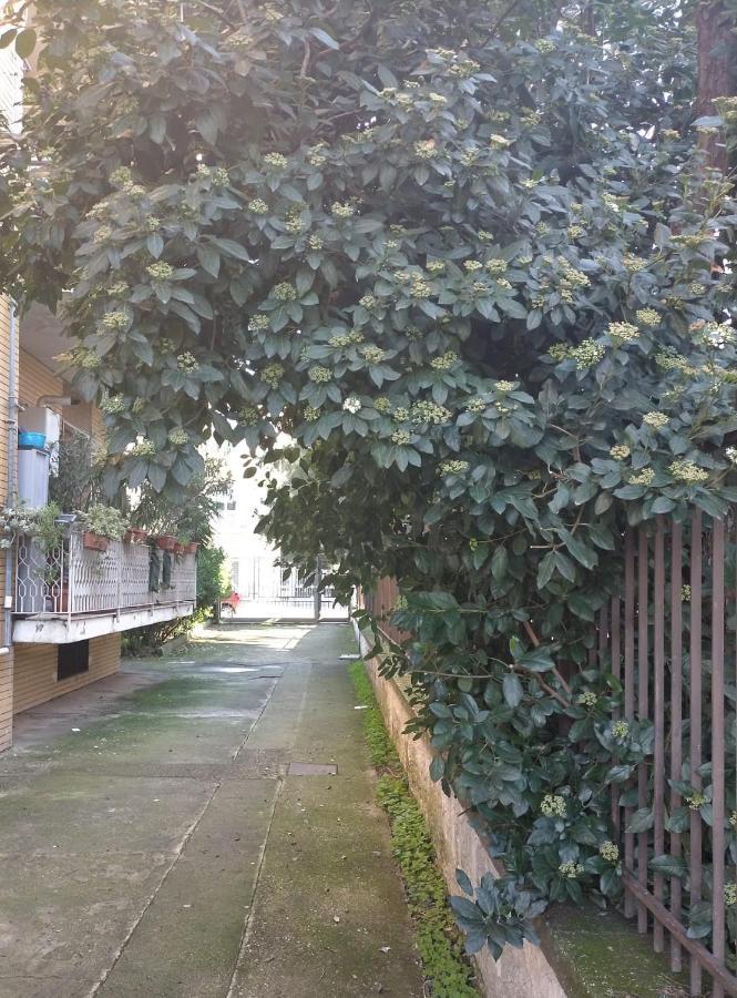 Le Stanze Di Ginevra - Via Tescione Hotel Caserta Exterior photo